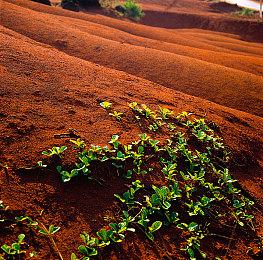 《星刃》PC版新预告泄露 将于6月11日发售